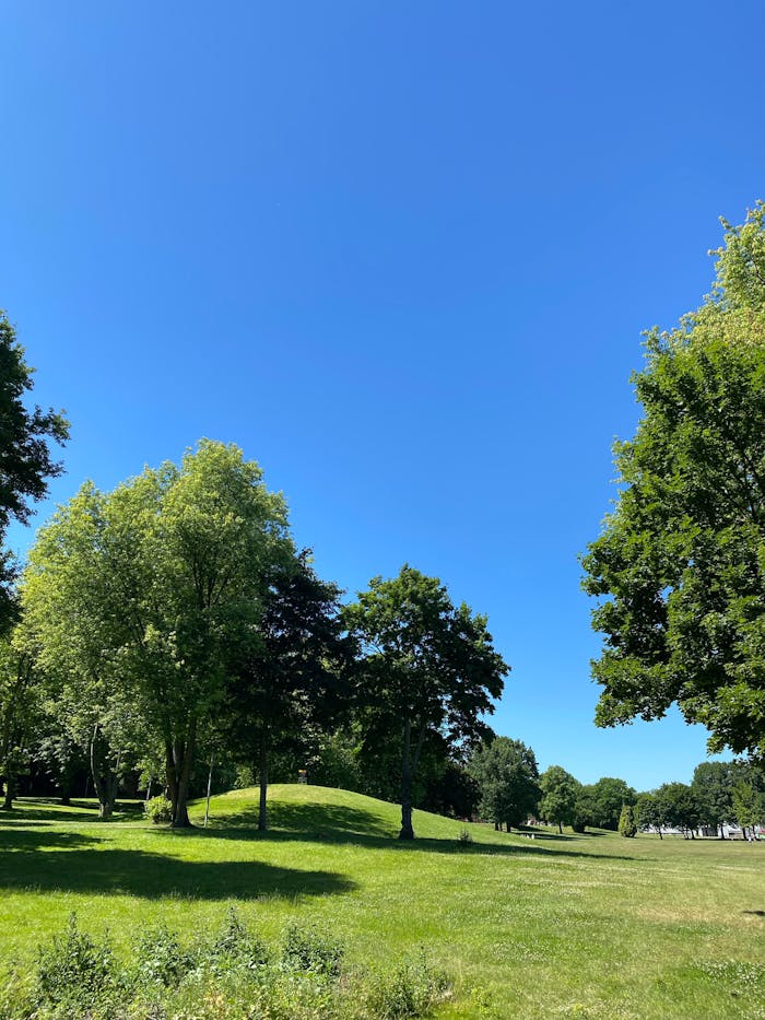 Lush golf course landscape with green grass and trees under a clear blue sky, captured in daylight.